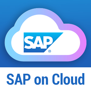 Click2Cloud Blog- Everything you should know about SAP on Cloud